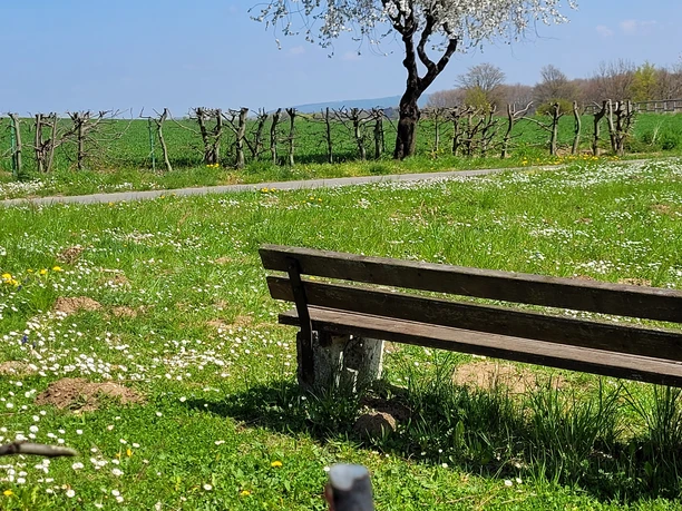 Ruhebank Werlaburgdorf 1.jpg