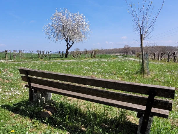 Ruhebank Werlaburgdorf 3.jpg