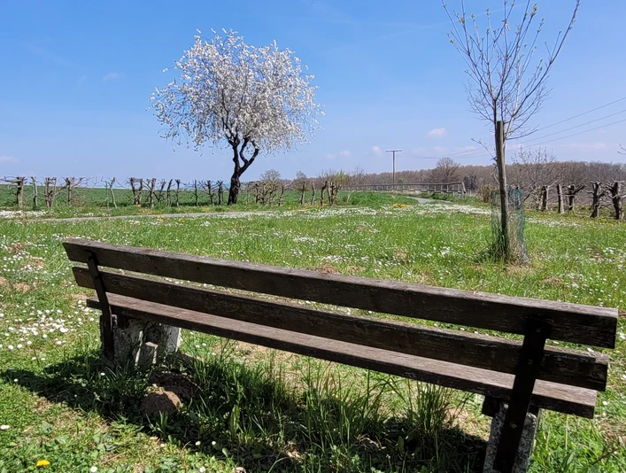 Ruhebank Werlaburgdorf 3.jpg