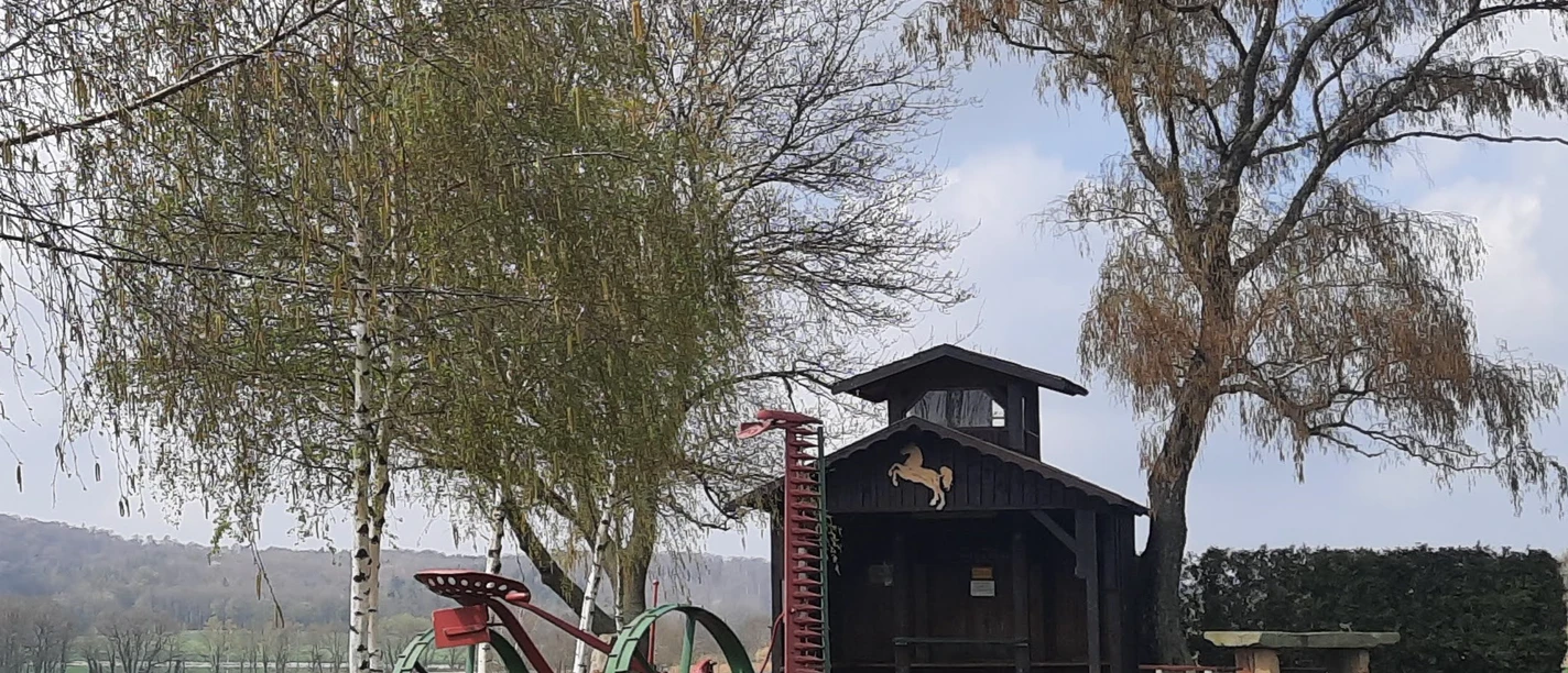 Foto Sommerfest Haarberg.jpg