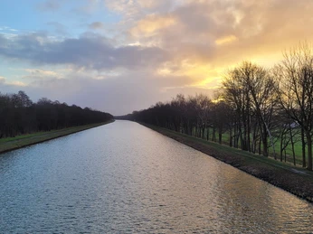 Sonnenuntergang über dem Mittellandkanal, umgeben von Bäumen und Gräsern, sanftes Licht reflektierend.