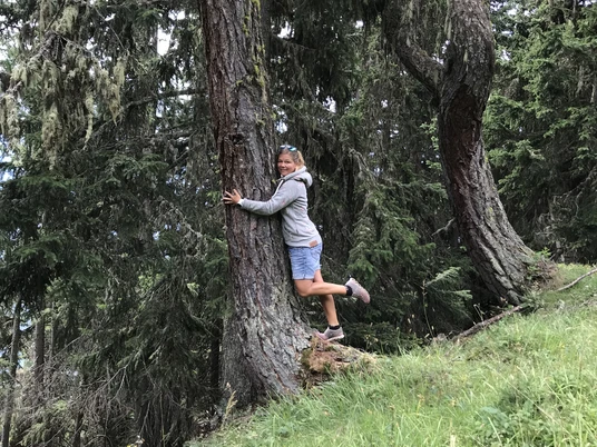 Stefanie Mattig-Wirthner Schätze des Waldes.jpg