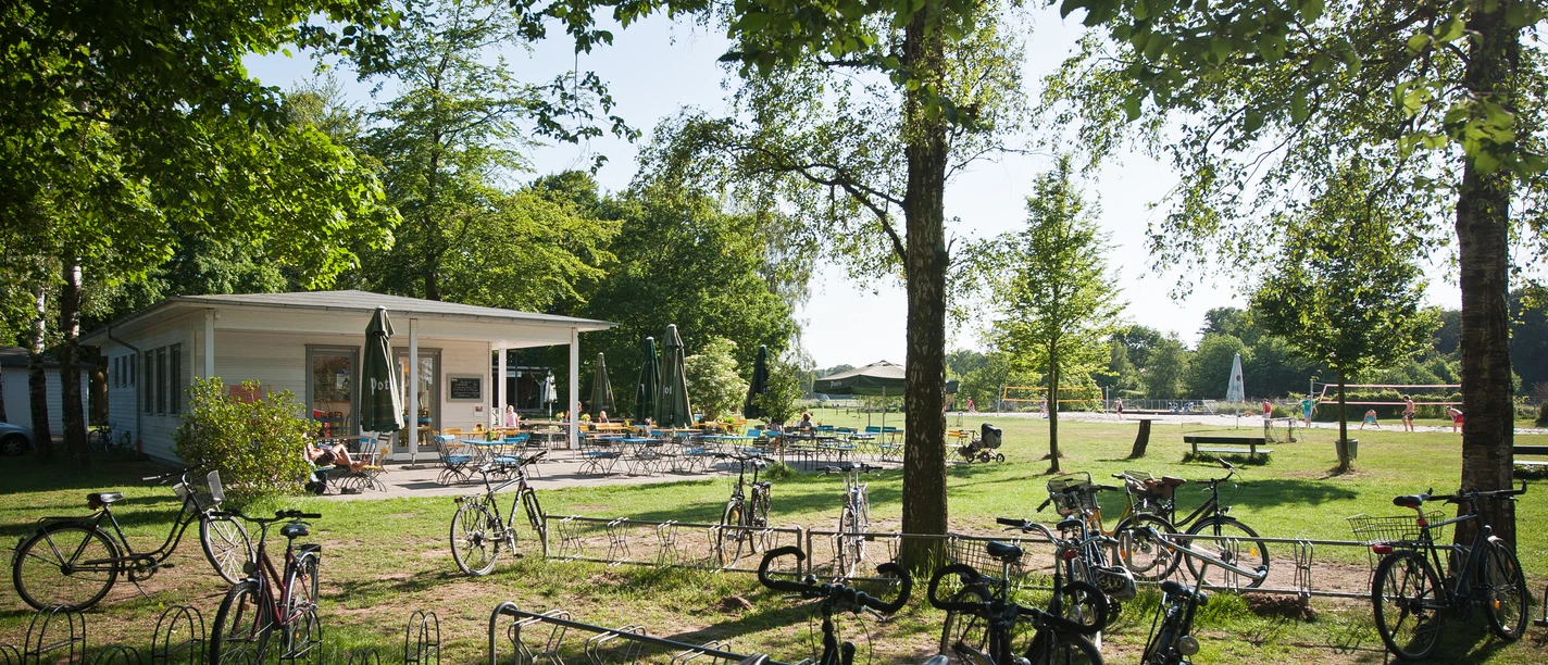 Fahrräder vor einem idyllischen Café im Grünen, umgeben von Bäumen und lichtdurchfluteter Natur.