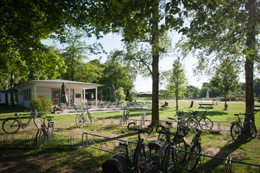 Wapelbad Fahrräder vor einem idyllischen Café im Grünen, umgeben von Bäumen und lichtdurchfluteter Natur.