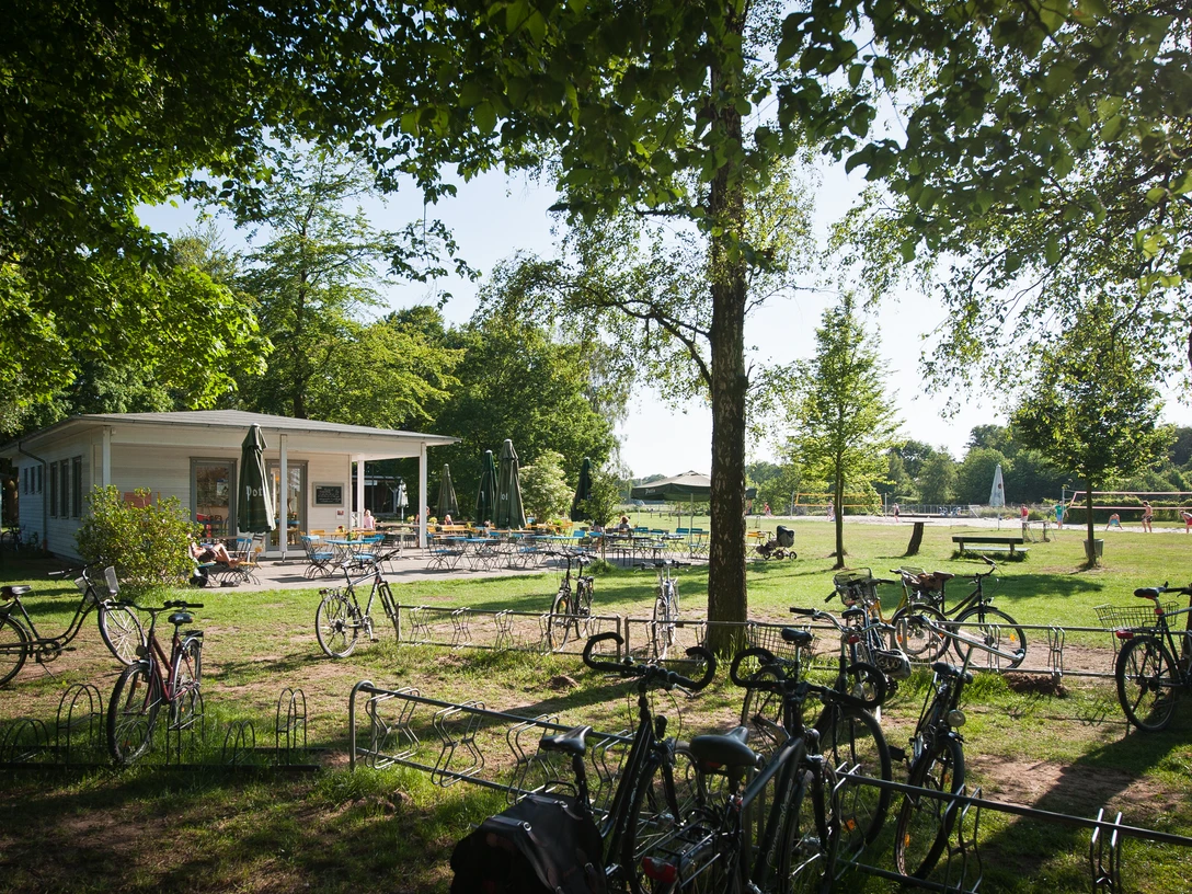 Wapelbad Fahrräder vor einem idyllischen Café im Grünen, umgeben von Bäumen und lichtdurchfluteter Natur.
