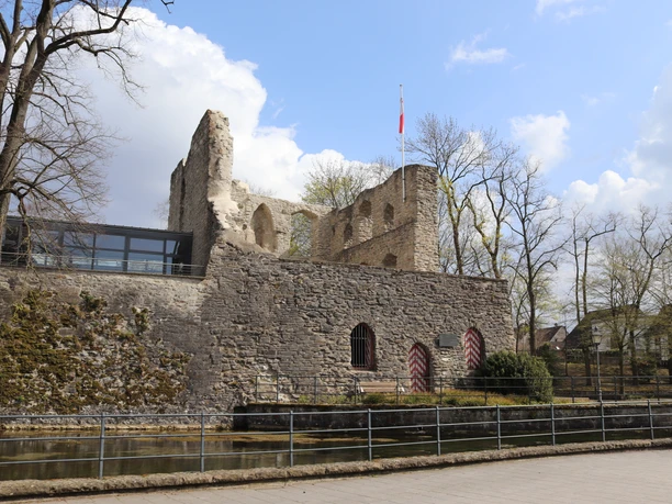 IMG_0171.JPG Ruine einer mittelalterlichen Burg mit erhaltenen Mauern, umgeben von einem Wassergraben und Bäumen.