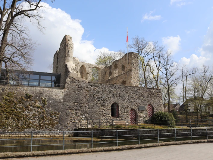 IMG_0171.JPG Ruine einer mittelalterlichen Burg mit erhaltenen Mauern, umgeben von einem Wassergraben und Bäumen.
