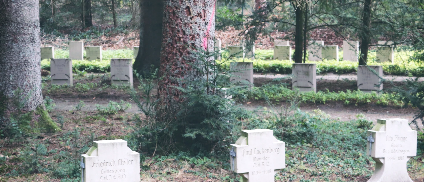 IMG_0542.JPG Gräber steinerner Kreuze in einem bewaldeten Bereich, umgeben von Moos und Nadelbäumen.