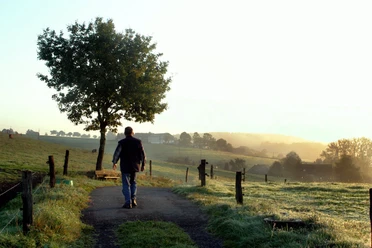 "Zwischen Großer Dhünn und Wipperfeld" Ein Mann spaziert auf einem ländlichen Weg, umgeben von einem Baum und nebelverhangenen Feldern.