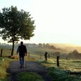 "Zwischen Großer Dhünn und Wipperfeld" Ein Mann spaziert auf einem ländlichen Weg, umgeben von einem Baum und nebelverhangenen Feldern.
