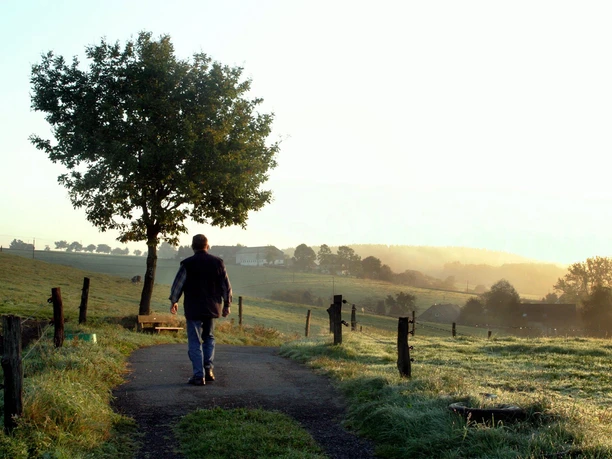 "Zwischen Großer Dhünn und Wipperfeld" Ein Mann spaziert auf einem ländlichen Weg, umgeben von einem Baum und nebelverhangenen Feldern.