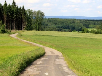 "Fernblick zwischen Hexentanz und Ballebäuschen" Ein schmaler, gewundener Weg führt durch grüne Felder, gesäumt von einem dichten Wald an einem warmen Sommertag.