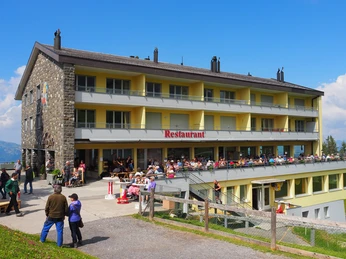 OLYMPUS DIGITAL CAMERA OLYMPUS DIGITAL CAMERA