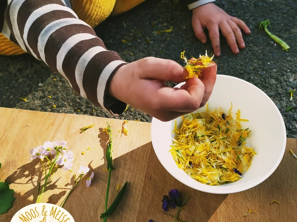 Blüten Ein Kind pflückt gelbe Blüten, die in einer Schale neben violetten Blumen liegen.