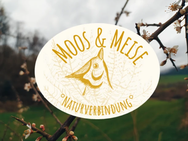 Moos & Meise Logo von "Moos & Meise Naturverbindung" mit Vogelillustration, umgeben von blühenden Zweigen.