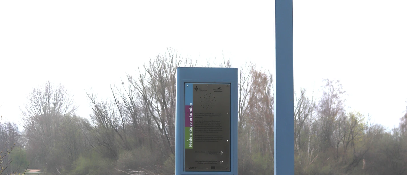 Blauer Audioguide-Pfahl mit "Fledermäuse hören"-Schild vor einem See, umgeben von Bäumen.