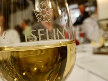 Weingut Iselin Weinprobe Weinglas Weingut Iselin Weinprobe Weinglas