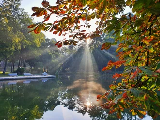 Herbstlich gefärbte Blätter am Ufer, Sonnenstrahlen durchbrechen den Nebel über einem ruhigen Teich.