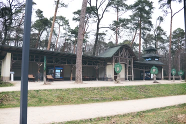 Holzstruktur eines historischen Gebäudes im Wald, umgeben von hohen Kiefern, offener Innenhof.