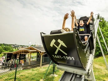 Erlebnisberg Altenberg Kinder heben die Arme auf einer Sommerrodelbahn in Altenberg, grünes Umland im Hintergrund.