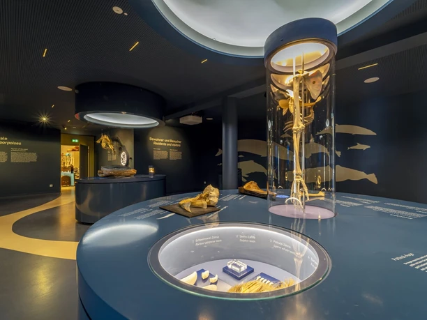 Wattenmeer Besucherzentrum neue Ausstellung