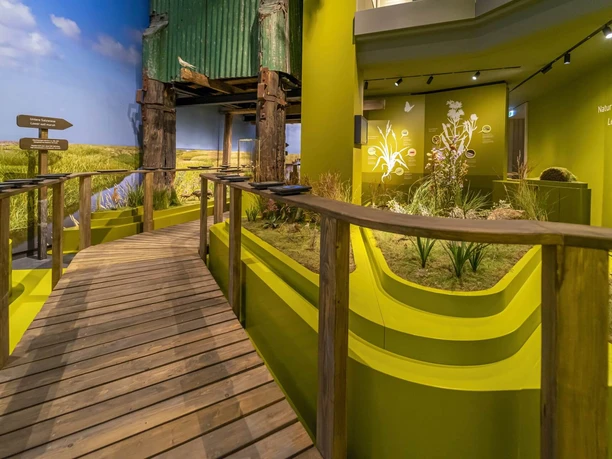 Wattenmeer Besucherzentrum neue Ausstellung