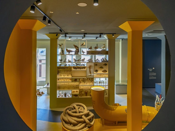 Wattenmeer Besucherzentrum neue Ausstellung