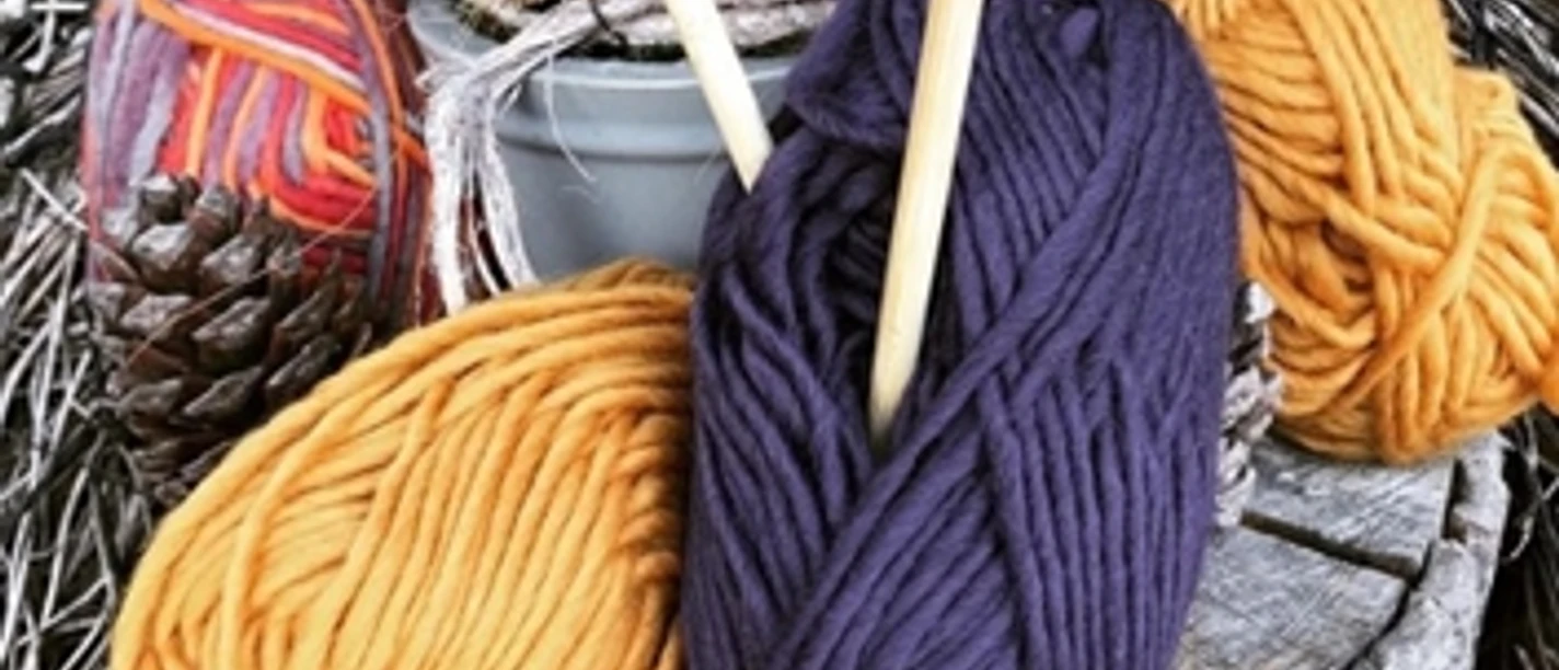 Handarbeitsgruppe.jpg Auf einem Baumstumpf liegen farbige Wollknäuel neben Stricknadeln.