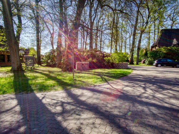 Sonnige Hofeinfahrt mit alten Bäumen, Wiese und einem Reetdachhaus im Hintergrund.
