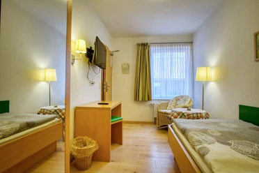 Einzelzimmer-thieshof (1).jpg Einzelzimmer mit Holzbett, Schreibtisch, Wand-TV, großem Spiegel und Korbsessel am Fenster.