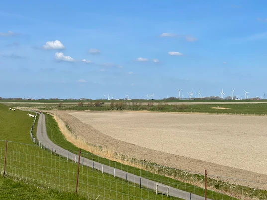 Blick in den Sommerkoog