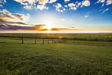 Deichvorland Sonnenuntergang über dem grünen Deichvorland mit Blick auf Wattflächen unter teils wolkigem Himmel