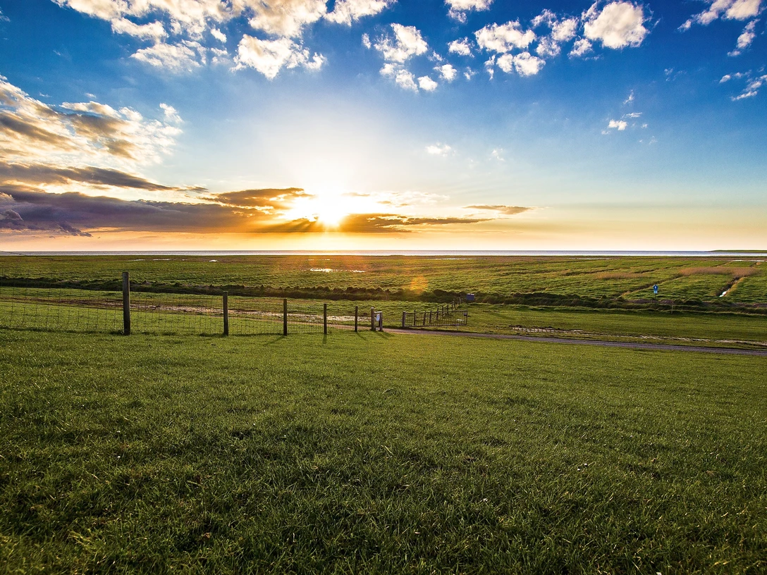 Deichvorland Sonnenuntergang über dem grünen Deichvorland mit Blick auf Wattflächen unter teils wolkigem Himmel
