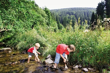 kinder-im-bach c) tourist-information-willingen.jpg