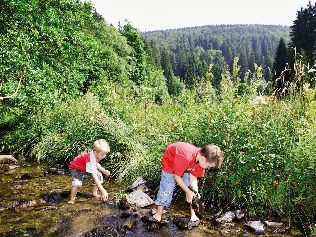 kinder-im-bach c) tourist-information-willingen.jpg