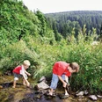 kinder-im-bach c) tourist-information-willingen.jpg