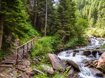 Stockalperweg in der Taferna und Riederwald Stockalperweg in der Taferna und Riederwald