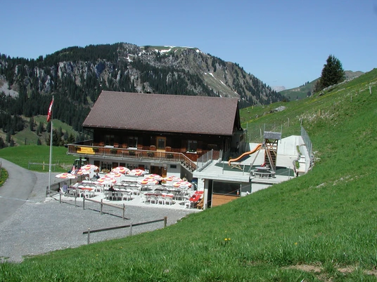 OLYMPUS DIGITAL CAMERA OLYMPUS DIGITAL CAMERA