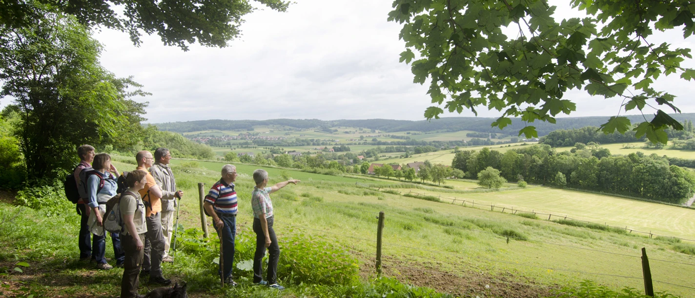Geführte Wandergruppe im nördlichen Sachsenring von Bad Driburg, mit Ausblick auf Alhausen.