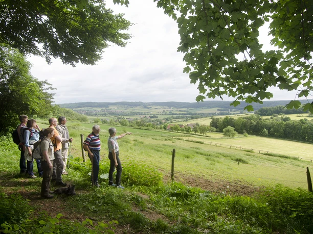 Geführte Wandergruppe im nördlichen Sachsenring von Bad Driburg, mit Ausblick auf Alhausen.