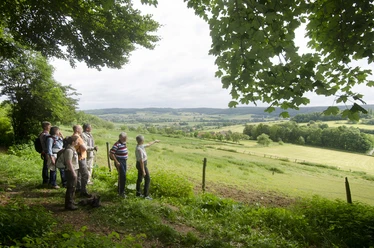 Sachsenring Geführte Wandergruppe im nördlichen Sachsenring von Bad Driburg, mit Ausblick auf Alhausen.