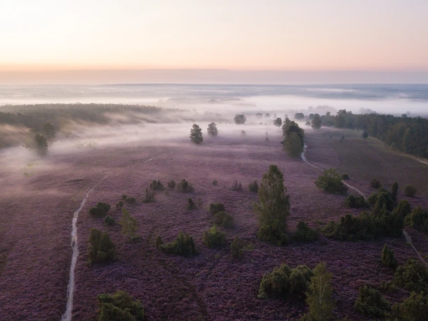 Aerial view of Wietzer Berg near Müden