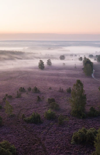 Frühnebel am Wietzer Berg Luftbild vom Wietzer Berg bei MüdenAerial view of Wietzer Berg near MüdenLuftfoto af Wietzer Berg nær MüdenLuchtfoto van de Wietzer Berg bij Müden