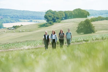 Geführte Wandergruppe in Bad Driburg.