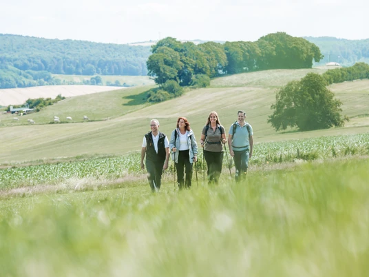 Geführte Wandergruppe in Bad Driburg.