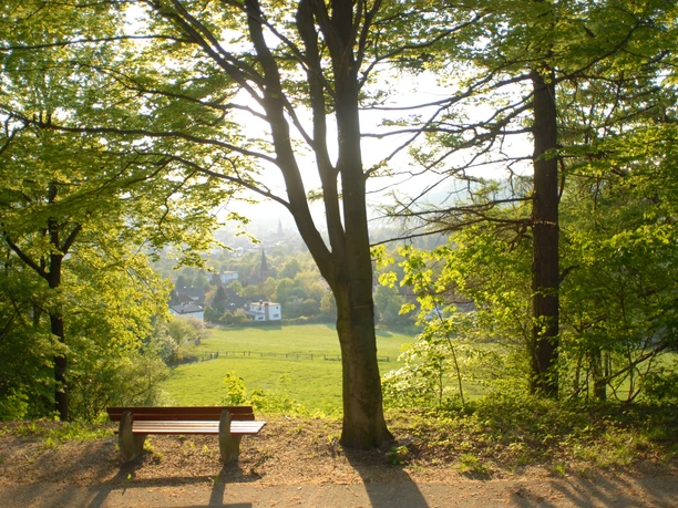 Blick auf die Stadt vom Steinberg Wanderweg mit einer Bank mit Blick auf die Stadt vom Steinberg.