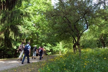 Geführte Wanderung Geführte Wanderung durch den Wald am Escherberg.