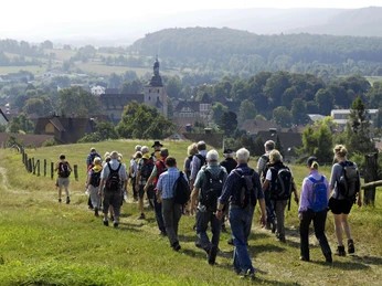 Geführte Wanderung durch Reelsen Bad Driburg.