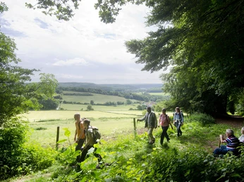 Wanderer wandern in den Wäldern um Bad Driburg herum.