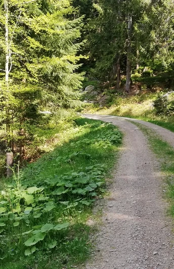 Sagenrundweg Bad Griesbach